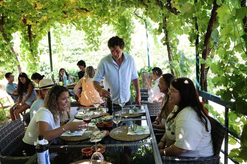 Porto: Douro Valley with Small Wineries, Lunch and Boat Tour - The second tasting and the shape of the afternoon