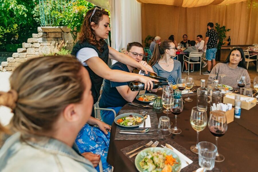 Porto: Douro Valley with Winery Lunch, Tastings & Cruise - Why this Douro day trip works from Porto