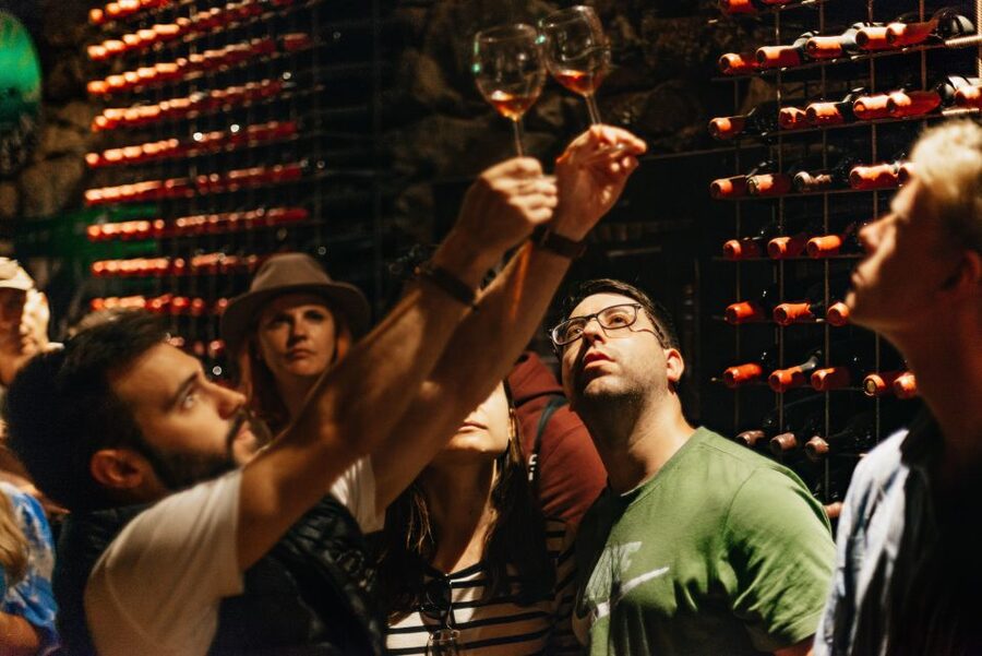 Porto: Douro Valley with Winery Lunch, Tastings & Cruise - The second estate and the return on the N222