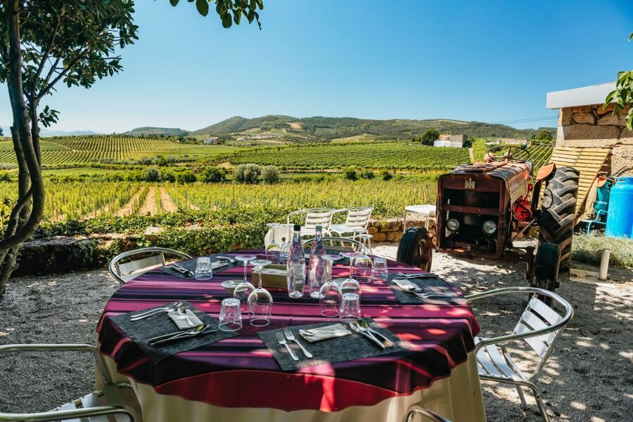 Porto: Douro Valley with Winery Lunch, Tastings & Cruise - Who should book this tour?