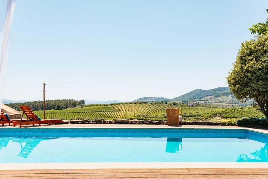Porto: Douro Valley with Winery Lunch, Tastings & Cruise - Should you book the Douro Valley tour?