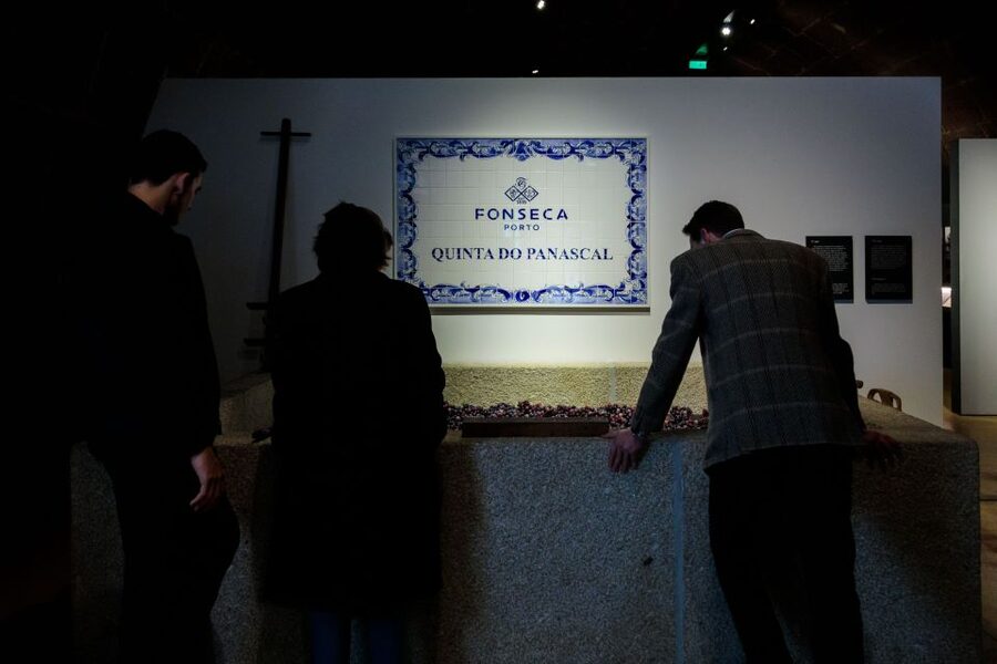 Porto: Fonseca Cellar Tour & Fado Show with Optional Dinner - Practical details that can shape your evening