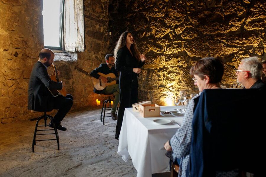 Porto: Fonseca Cellar Tour & Fado Show with Optional Dinner - What you learn about Port production