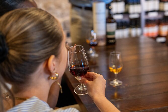 Porto Half-Day Guided Historical Tour with Port Cellar Visit and Tasting - The port cellar visit and two tastings