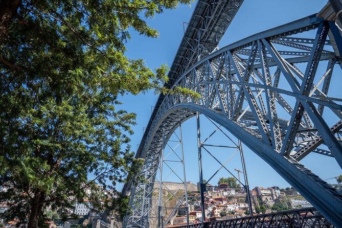 Porto Half-Day Guided Historical Tour with Port Cellar Visit and Tasting - How the guides shape the experience