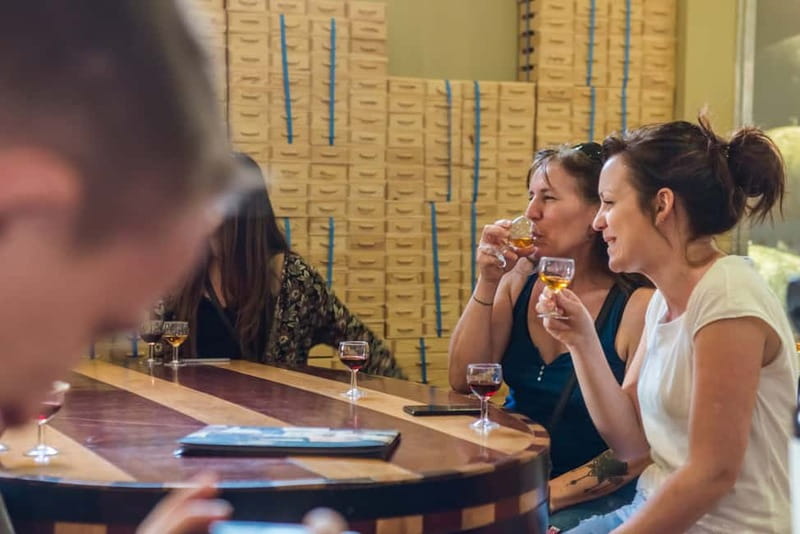 Porto: Magic Train Tour and Port Wine Cellar with Tastings - A moving introduction to Porto’s old center