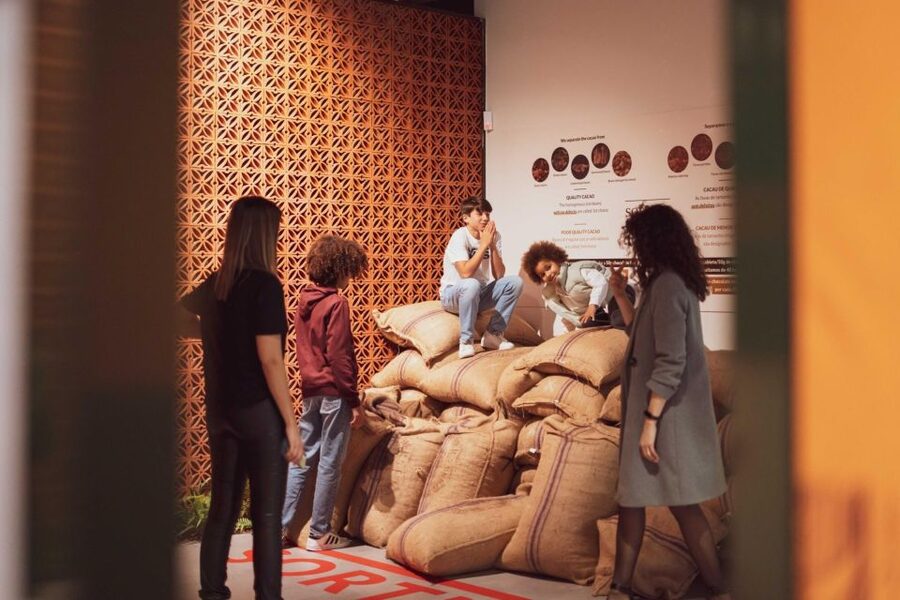 Porto: Taylor’s Port Cellar Tour & WOW Museum Pack - Should you book the Taylor’s and WOW package?