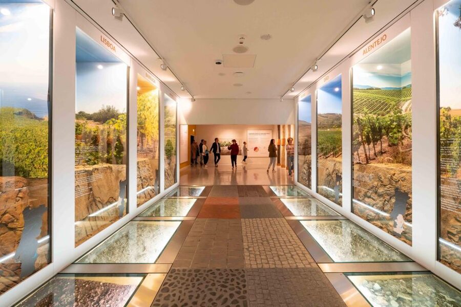 Porto: Taylor’s Port Cellar Tour & WOW Museum Pack - Inside Taylor’s 300-year-old Port cellars