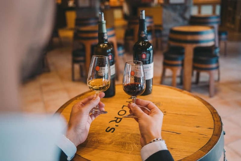 Porto: Taylor’s Port Cellar Tour & WOW The Wine Experience - Starting at WOW’s Wine Experience