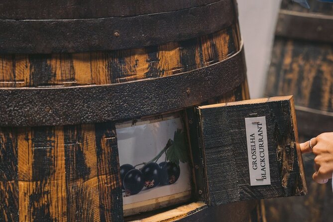 Porto: Taylor's Port Cellars Visit & Port Wine Tasting - What the Audio Guide Actually Adds