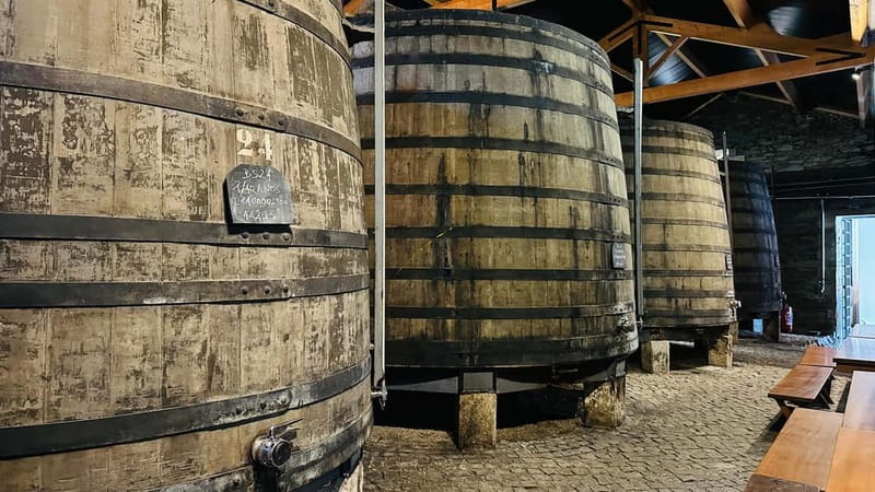 Porto to Gaia Experience: City Walk and Wine Cellars - Bolhão Market and the Shopping Streets