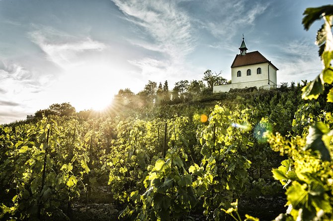 Prague´s Hidden Vineyards Private Tour - Should You Book Prague’s Hidden Vineyards?