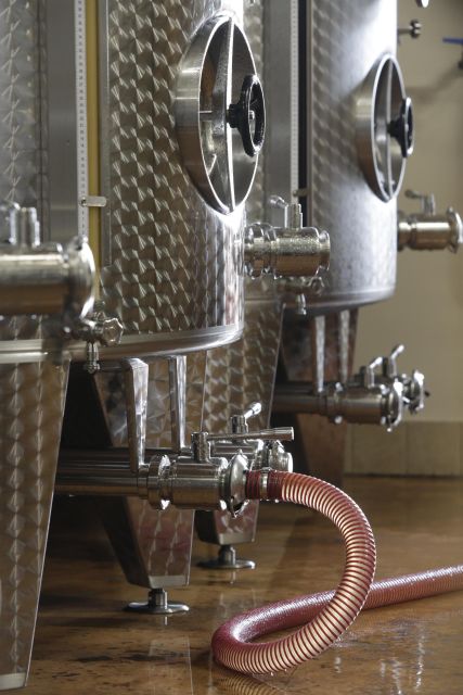 Pramaggiore: Ornella Bellia Winery Guided Tour & Tasting - Reaching Ornella Bellia from Venice and the Coast