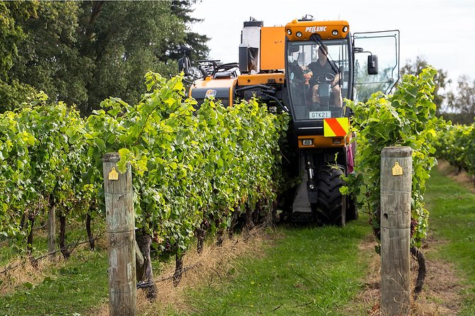 Premium 4 -Best Wineries Napier Hawke's Bay Tour, 5.5h - 6Hours - Four wineries without the Hawke’s Bay driving chore