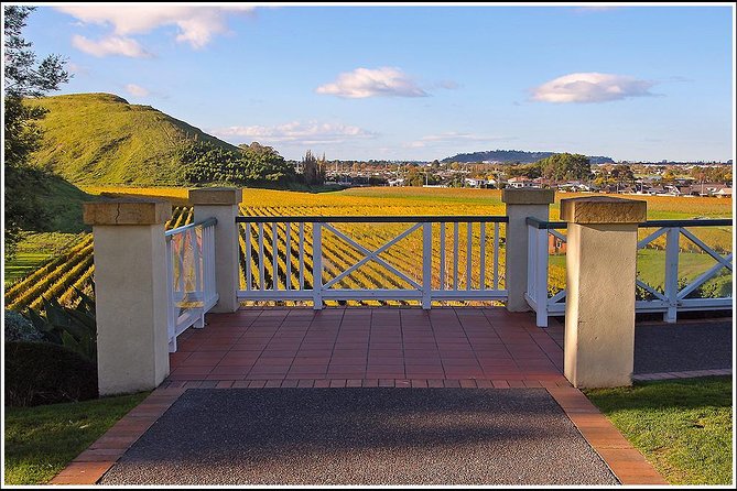 Premium 4 -Best Wineries Napier Hawke's Bay Tour, 5.5h - 6Hours - Historic estates and polished tasting rooms