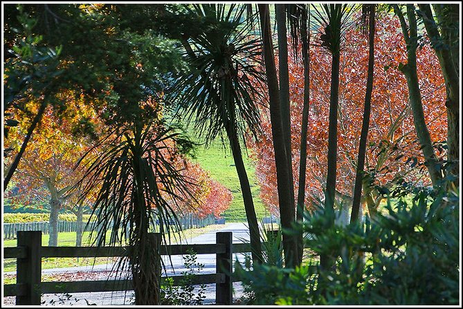 Premium 4 -Best Wineries Napier Hawke's Bay Tour, 5.5h - 6Hours - What is included for $114.81?