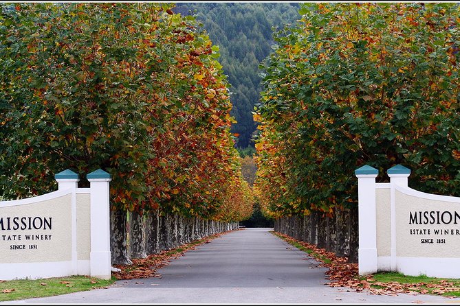 Premium 4 -Best Wineries Napier Hawke's Bay Tour, 5.5h - 6Hours - Timing, pickup, and practical details