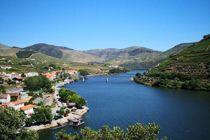 Premium Private Douro Tour: 3 Wineries with Tastings & Lunch - Pinhão, blue tiles, and a regional lunch