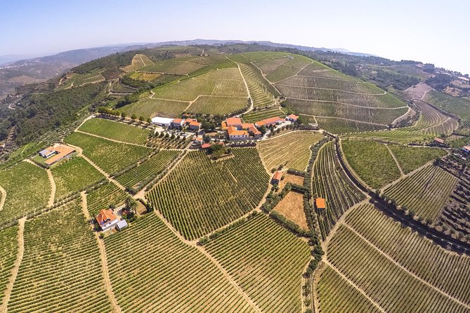 Premium Private Douro Tour: 3 Wineries with Tastings & Lunch - Quinta de Tourais and the difference between Douro and Port
