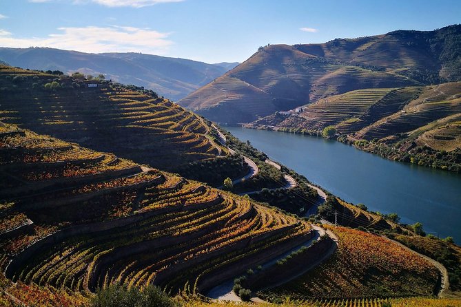 Premium Private Douro Tour: 3 Wineries with Tastings & Lunch - Quinta Seara d’Ordens and the final tasting