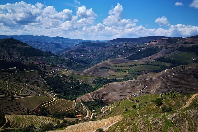 Premium Private Douro Tour: 3 Wineries with Tastings & Lunch - Is the $520 price fair?