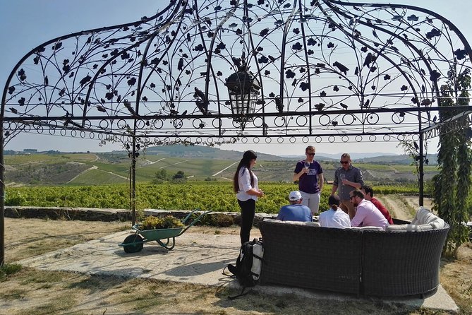 Premium Private Douro Tour: 3 Wineries with Tastings & Lunch - The road east, with a possible Amarante stop