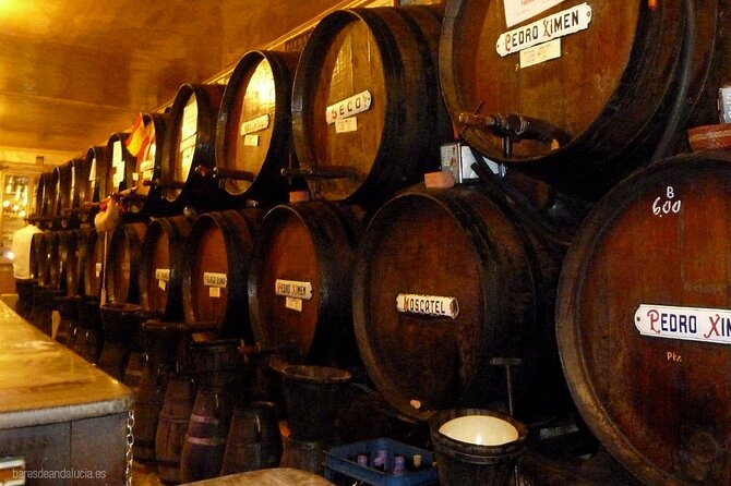 PREMIUM TAPAS TOUR: Tapas, Paella and Winery - Starting with wine at Antigua Casa de Guardia