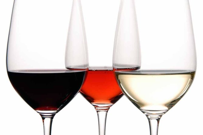 PREMIUM TAPAS TOUR: Tapas, Paella and Winery - Practical details that affect your day