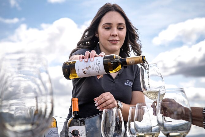 Premium Tasting | Quinta de Santa Cristina Vinho Verde - Starting among the vines near Braga