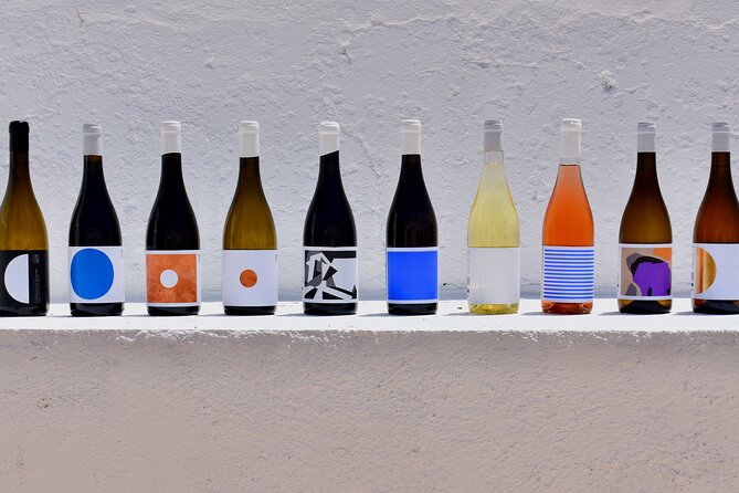 Premium Vineyard Tour & Tasting - Walking the vines and learning the estate story