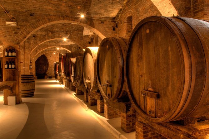 Primitivo and Negroamaro wine tour: a visit to two wineries and typical lunch. From Lecce - Key points at a glance