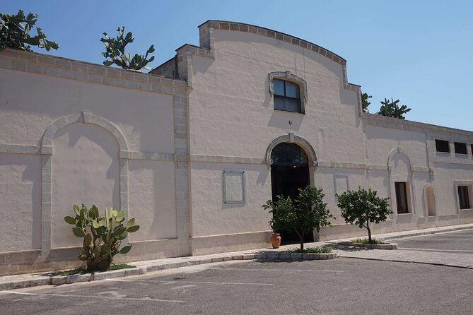 Primitivo and Negroamaro wine tour: a visit to two wineries and typical lunch. From Lecce - First winery: how Salento turns grapes into wine