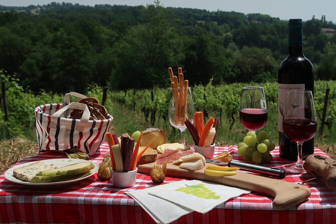 Private 2cv tour in the vineyards and Wine tasting - Meeting the winemaker and seeing the cellar