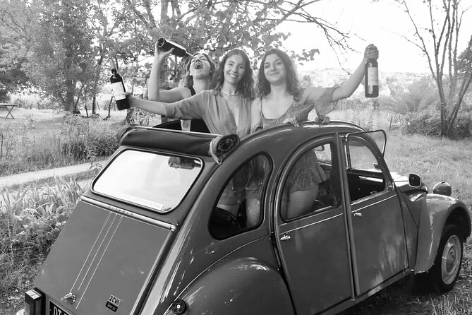 Private 2cv tour in the vineyards and Wine tasting - The picnic: a pleasant extra, not part of the base price