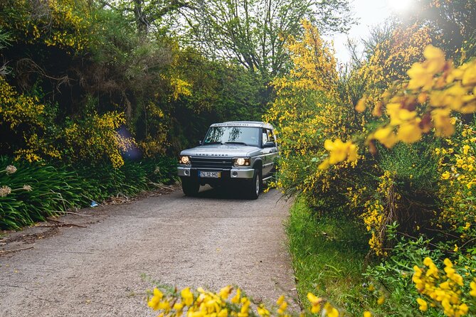 Private 4x4 Jeep Half Day - Picturesque Peaks, Vineyards, Skywalk - Câmara de Lobos and Madeira’s xavelhas