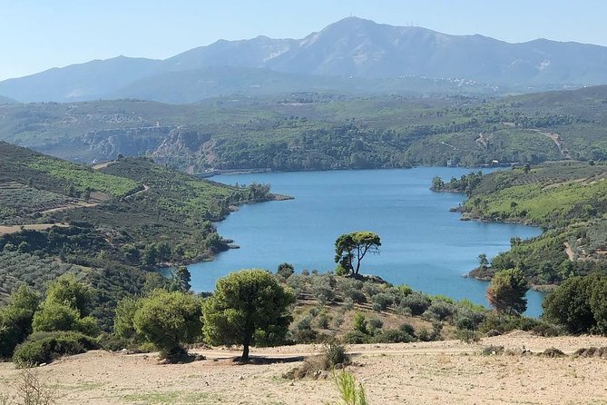 Private 4x4 Wine Tour from Athens to Marathon Lake and a Winery - Marathon Lake, vineyards, olives, and the dam