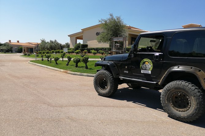 Private 4x4 Wine Tour from Athens to Marathon Lake and a Winery - Who should book this private Athens excursion