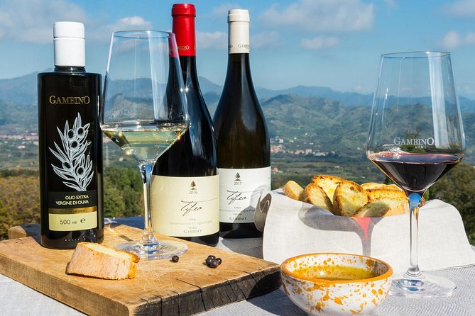 Private 6-Hour Tour of Three Etna Wineries with food&wine tasting - The first winery: a gentle start with Etna DOC