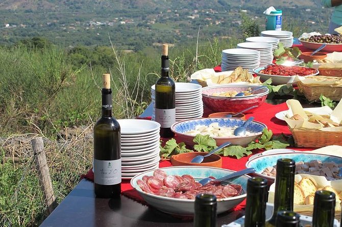 Private 6-Hour Tour of Three Etna Wineries with food&wine tasting - The final winery adds views and local character