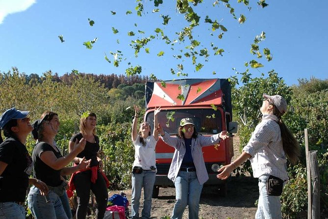 Private 6-Hour Tour of Three Etna Wineries with food&wine tasting - The guides can shape the whole six hours