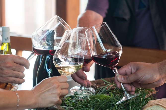 Private 6-Hour Tour of Three Etna Wineries with food&wine tasting - Private transport makes the route easier