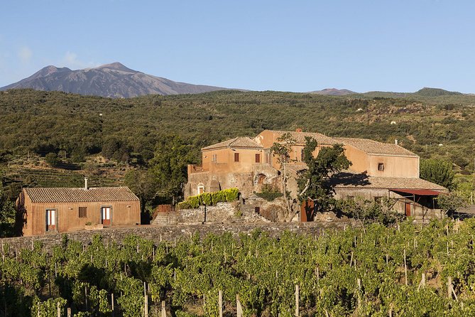 Private 6-Hour Tour of Three Etna Wineries with food&wine tasting - Who will get the most from this tour