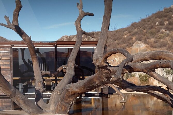 PRIVATE BAJA WINERIES EXPERIENCE (Transportation,concierge,custom schedule) - What the custom schedule really means