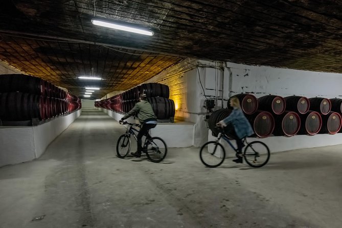 Private Bike Tour to Cricova Winery with wine tasting and lunch - Key things to know before booking