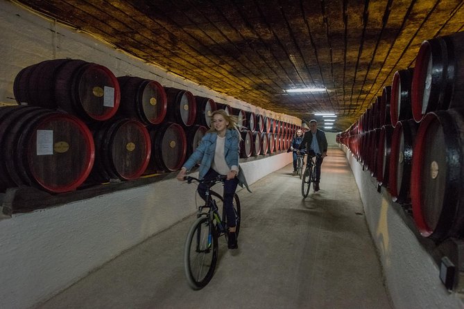 Private Bike Tour to Cricova Winery with wine tasting and lunch - Cycling out from VELOPOINT in Chisinau