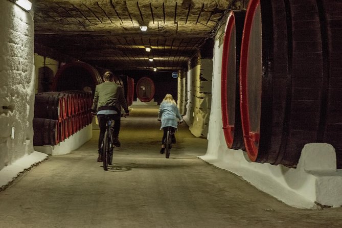 Private Bike Tour to Cricova Winery with wine tasting and lunch - Who will enjoy this Cricova day trip