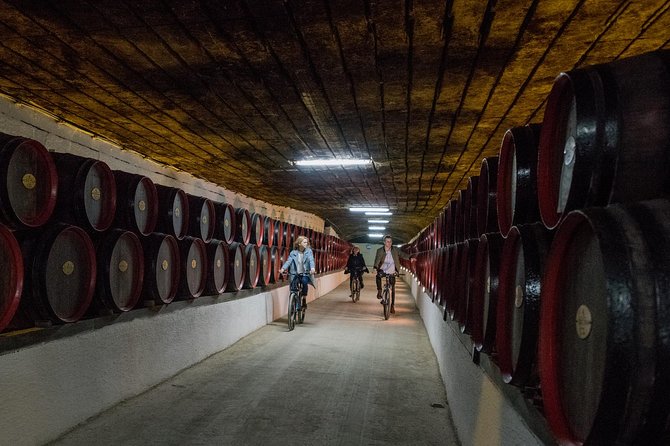 Private Bike Tour to Cricova Winery with wine tasting and lunch - Arriving at Cricova Winery