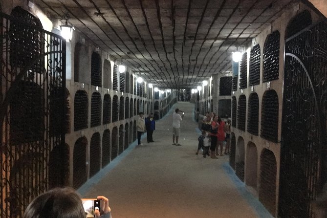 Private Bike Tour to Milestii Mici Winery with wine tasting and lunch - Key points at a glance