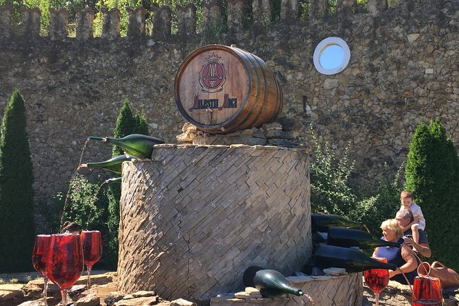 Private Bike Tour to Milestii Mici Winery with wine tasting and lunch - Wine tasting and lunch