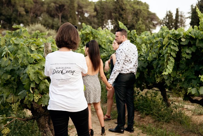 Private Breakfast Winery Experience - Private Wine Tasting Tour - Why Alella makes a good morning out
